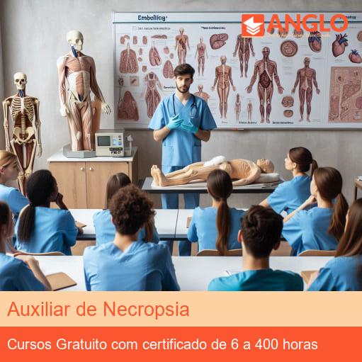 Auxiliar de Necropsia